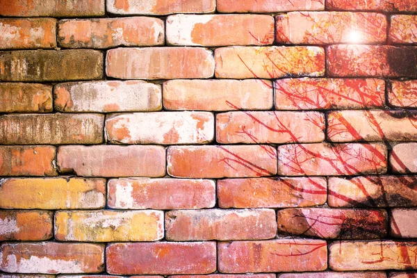 Astratto muro di mattoni marrone con albero pittura per sfondo — Foto Stock