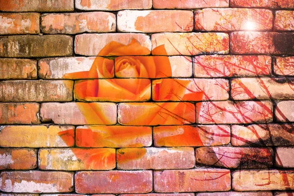 Abstract rose on the brick wallpaper in vintage style — Stock Photo, Image