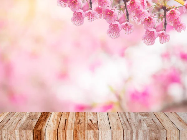 Primavera temporada projetado fundo com flor de cereja rosa — Fotografia de Stock