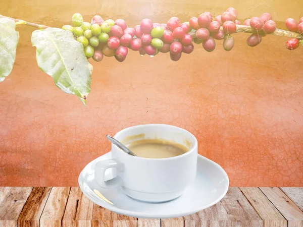 Concept of coffee time background — Stock Photo, Image