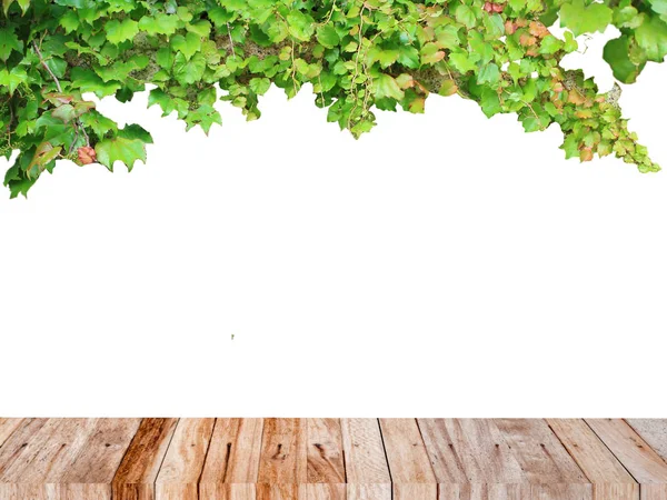 Green ivy plant frame on white background with wood plank — Stock Photo, Image