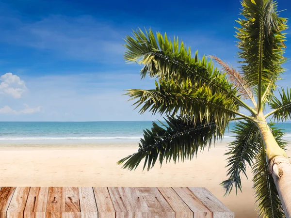 棕榈树在沙滩上的夏天背景 — 图库照片