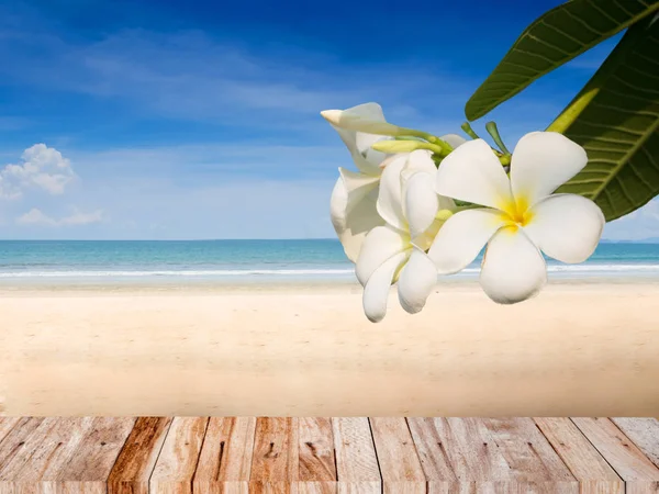 Концепция летнего пляжа с цветком плюмерии — стоковое фото