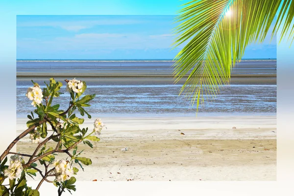 Zomer strand concept voor achtergrond — Stockfoto