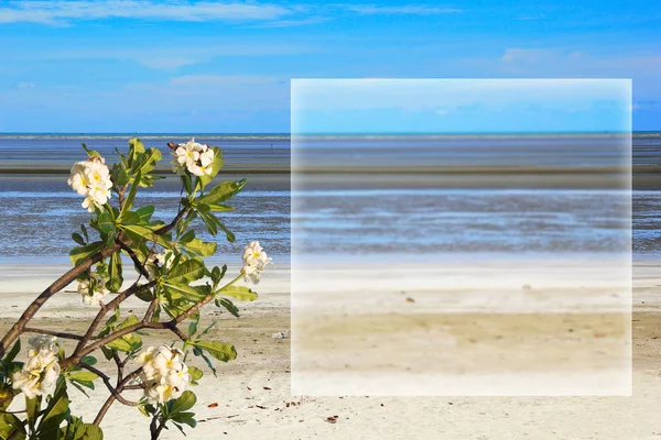Концепция летнего пляжа для фона — стоковое фото
