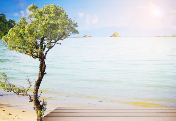 Concept de plage d'été avec mer et ciel bleu — Photo