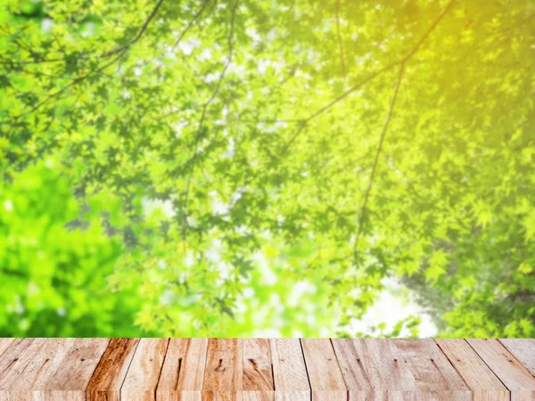 Ramo de bordo verde natural para fundo — Fotografia de Stock