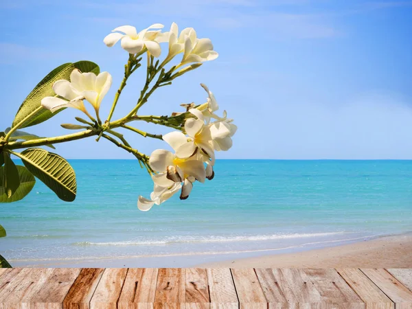 Концепция летнего пляжа с цветком плюмерии — стоковое фото