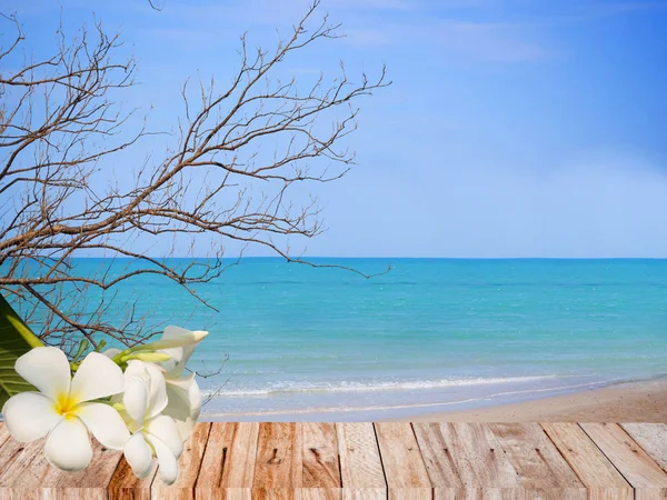 Summer beach concept background with plumeria flower — Stock Photo, Image