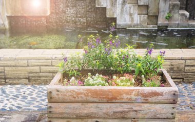 İçinde belgili tanımlık bahçe dekorasyon ahşap saksıyı