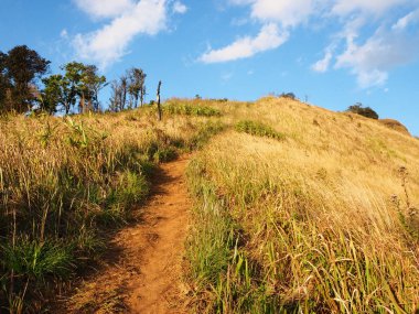 Phayoa, Tayland Kuzey cephede altın Dağı
