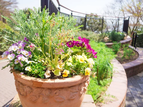 Belle décoration de pot de fleurs dans le jardin du ciel à Kobe, Japon — Photo