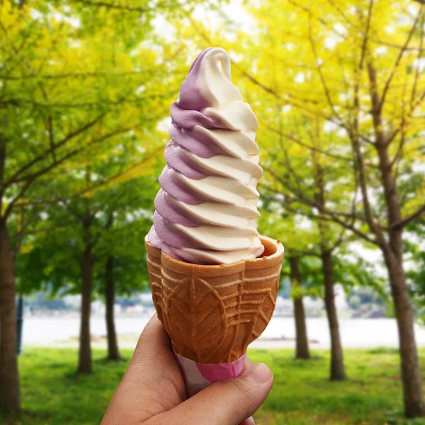 Mixato di mirtillo e vaniglia morbida crema in autunno del Giappone — Foto Stock