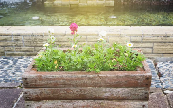 Trä blomkruka dekorera i trädgården — Stockfoto