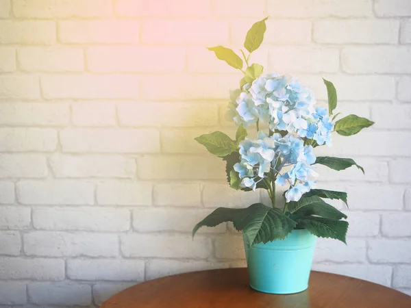 Vintage hydrangea pot bunga di atas meja dan dinding bata putih — Stok Foto