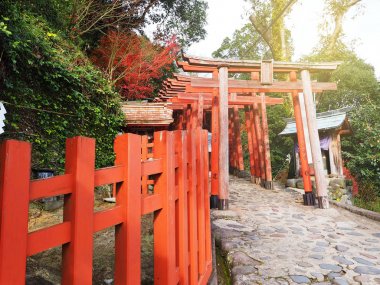Saga, Japonya 9 Aralık 2015: Yutoku Inari tapınak renk değişikliği ile