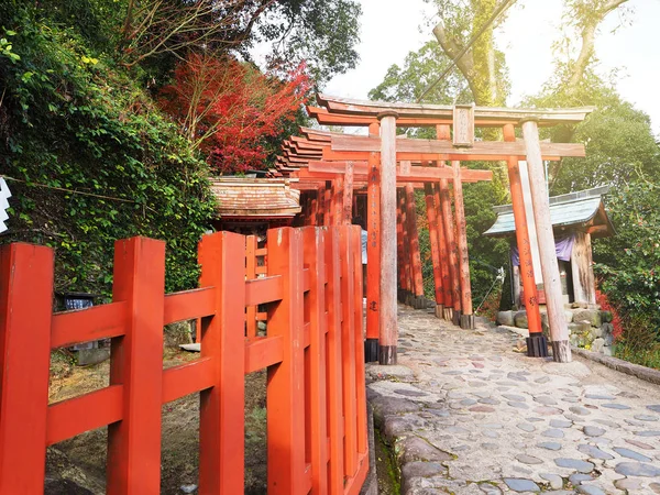 Saga, Japan, 9 Dec 2015: Yutoku Inari schrijn met kleurverandering van — Stockfoto