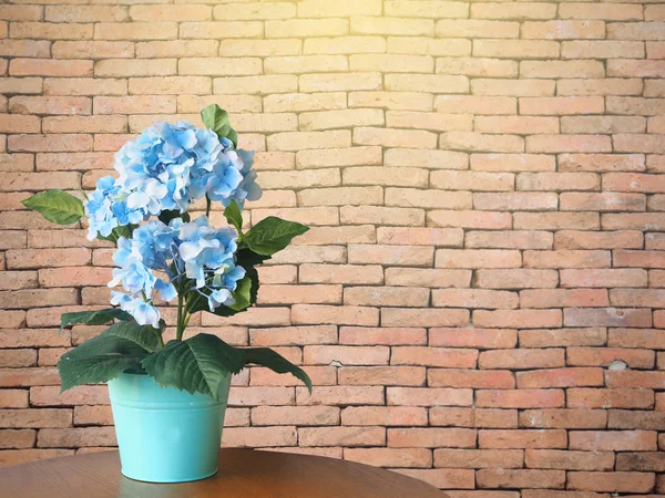 Dekorasi pot bunga hidrangea biru di atas meja dengan dinding bata coklat — Stok Foto