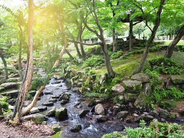 Grøn naturskov i Nara park med det lille vandfald - Stock-foto