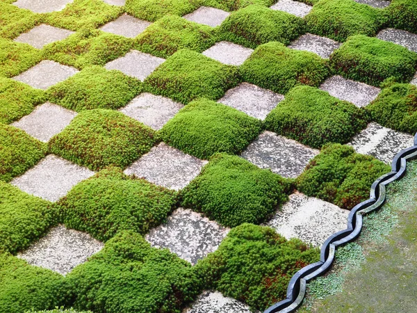 Césped verde y patrones de roca en el jardín para el fondo —  Fotos de Stock