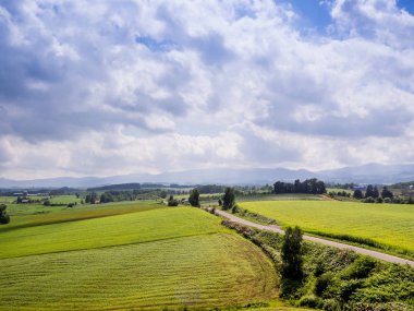Biei, Hokkaido ağaç ve otların alanının doğal manzaralı