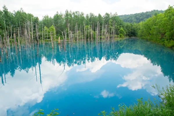 Niebieski staw w lecie w Biei, Hokkaido — Zdjęcie stockowe