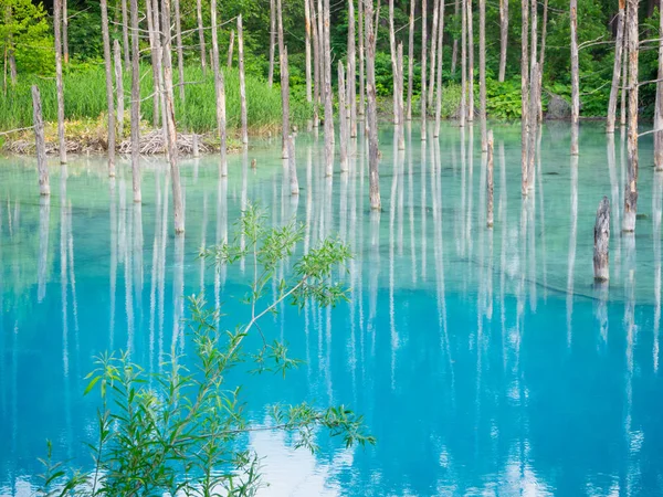 Yaz Biei, Hokkaido, mavi su birikintisi