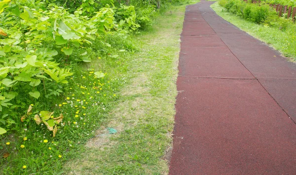 Rubber jogging route along the green garden — Stock Photo, Image