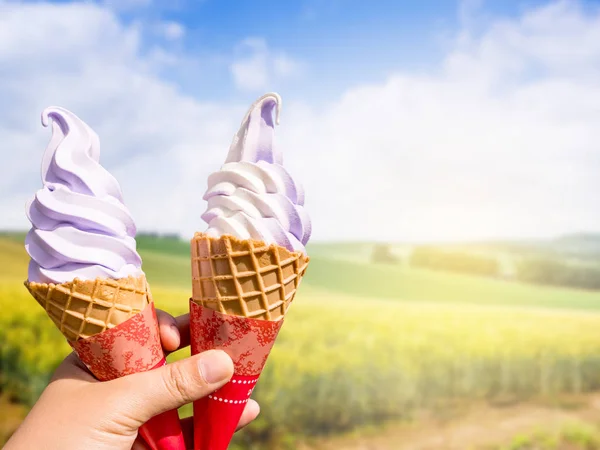 Lavanta ve Japonya alanıyla vanilyalı dondurma