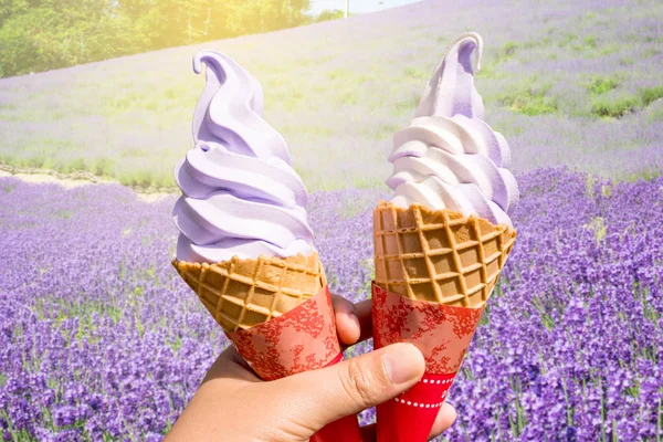 Levandule a vanilková zmrzlina s polem v Japonsku Stock Fotografie