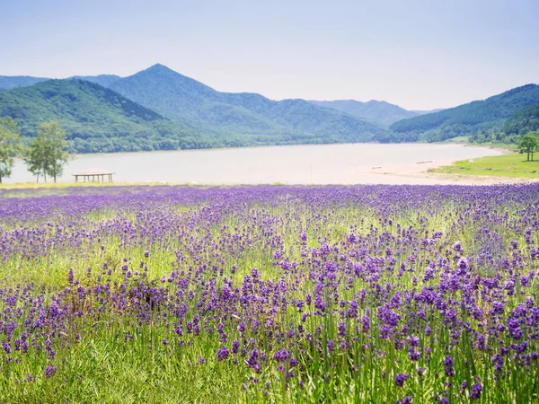 Landscape view of Kanayama lake and mountain in Hokkaido, Japan — Stock Photo, Image