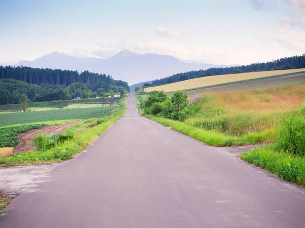 Vista paisagem do campo natural e estrada de condução no campo de Hokkaido — Fotografia de Stock