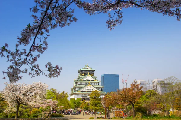 Посетители наслаждаются цветением сакуры 14 апреля 2017 года в парке замка Осака — стоковое фото