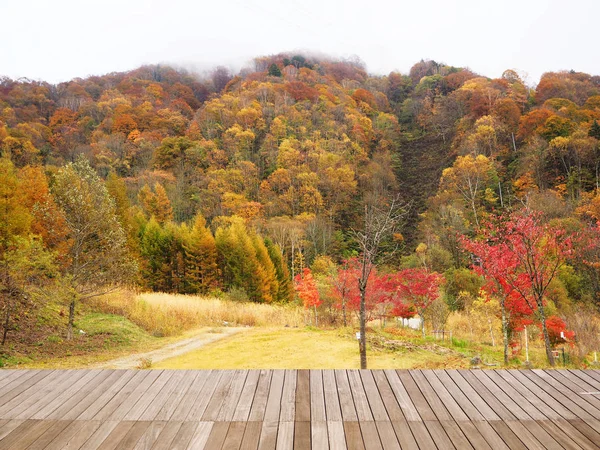 Sonbahar (Güz) manzara orman Shin-Hotaka ip Way, Nagano, Japonya — Stok fotoğraf