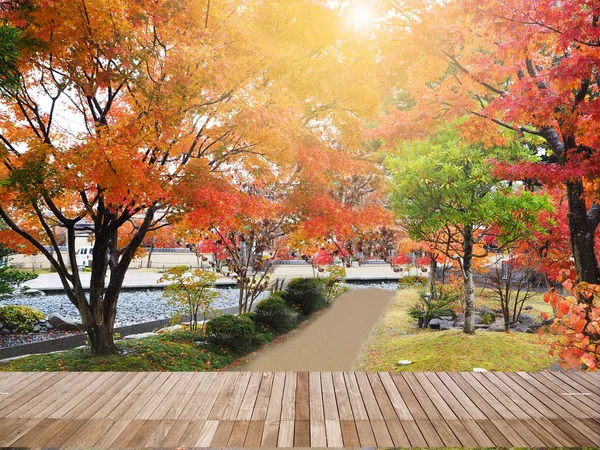 Abstrakter Ahornbaum im Herbst von Japan — Stockfoto
