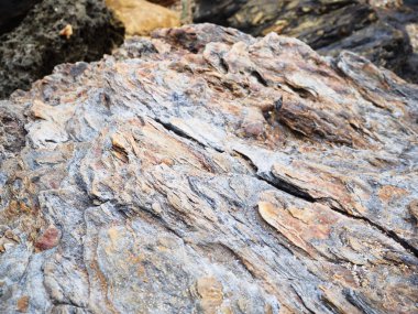 Doku kalsine kaya sahilde