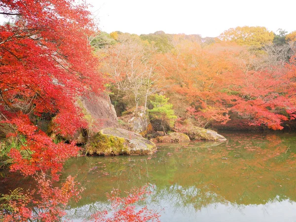 Landscape of autumn leave and lake in Japan — Stock Photo, Image