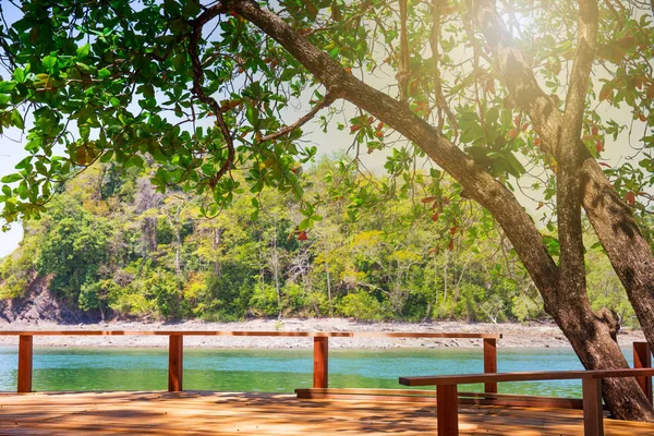 Natural Relaxation Space Tree Terrace Nearby Sea Tarutao National Park — Stock Photo, Image