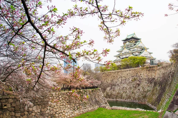 Osaka Nisan Manzaralı Osaka Kalesi Kiraz Çiçeği Sakura Ağaç Bahar — Stok fotoğraf
