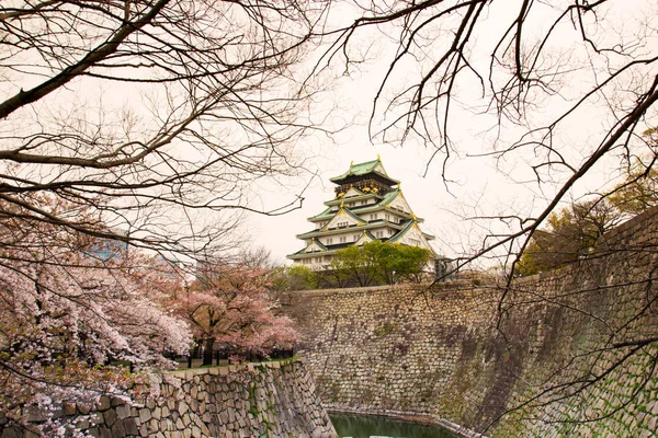 Osaka Kwietnia Pejzaż Widok Zamku Ōsaka Sezonie Wiosna Drzewa Wiśni — Zdjęcie stockowe