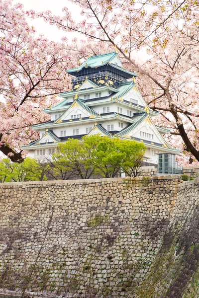 Osaka Dubna Krajina Pohled Hrad Ósaka Jarní Sezóně Třešňový Květ — Stock fotografie