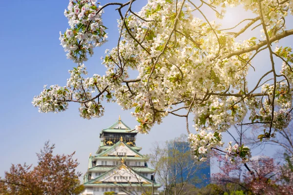 Osaka Kwietnia Pejzaż Widok Zamku Ōsaka Sezonie Wiosna Drzewa Wiśni — Zdjęcie stockowe