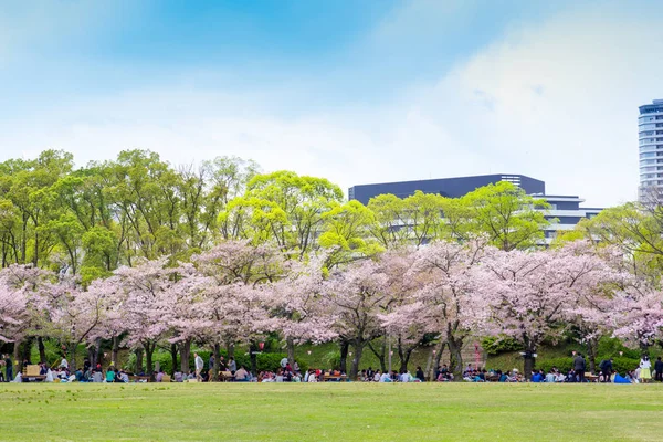 Osaka Castle Cherry Blossom Tree Branch Spring Season Japan Travel — Stock Photo, Image