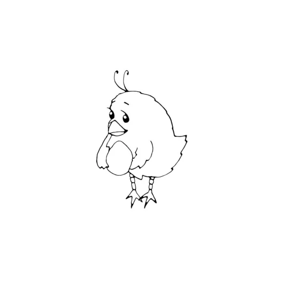 Pollo Carino Con Uovo Stile Doodle Raccolta Personaggi Icone Elementi — Foto Stock