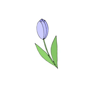 Beyaz arka planda izole edilmiş renkli lale çiçeği. El çizimi tasarım elemanı. Basit çizim biçimi Doodle illüstrasyonu.
