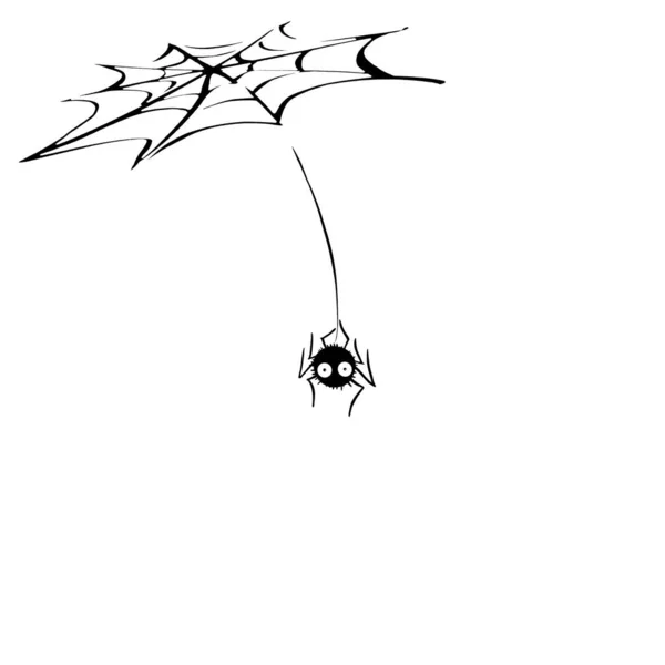 Cute spider on the web. Hand drawn. Isolated on white background. Halloween illustration.