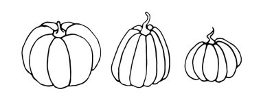 Beyaz arkaplanda izole edilmiş kabak ikonu seti. Taslak karalama. Sembol sonbahar, mahsul, verimli yıl. EPS10 el çizimi vektörü illüstrasyon.