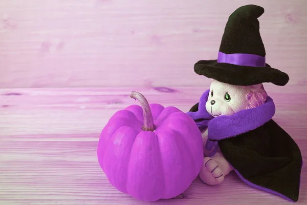 Luxe Paars Gekleurde Pompoen Schattig Lion Toy Halloween Wizard Kostuum — Stockfoto