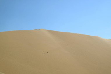 Huacachina Çölü 'nün engin kum tepesinde eğlenen iki kişi, Ica bölgesi, Peru, Güney Amerika