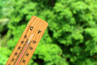Tahta termometre güneşte yeşil yapraklara karşı çok yüksek sıcaklık gösteriyor.